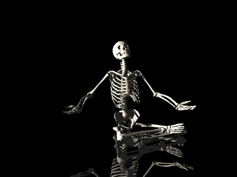 scheletro.gif (14811 byte)